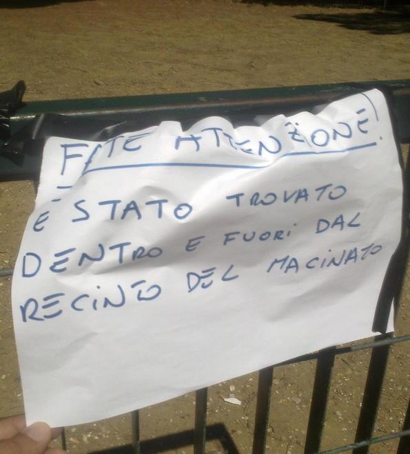 Polpette-killer nell’area per cani 