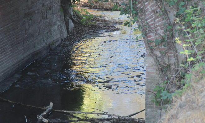 Misteriosa chiazza di gasolio, allarme al rio Cignolo 