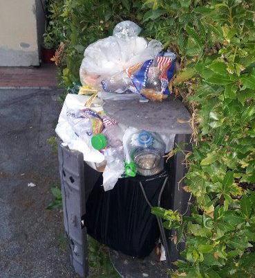 Collodi protesta: «Dimenticati da tutti» 