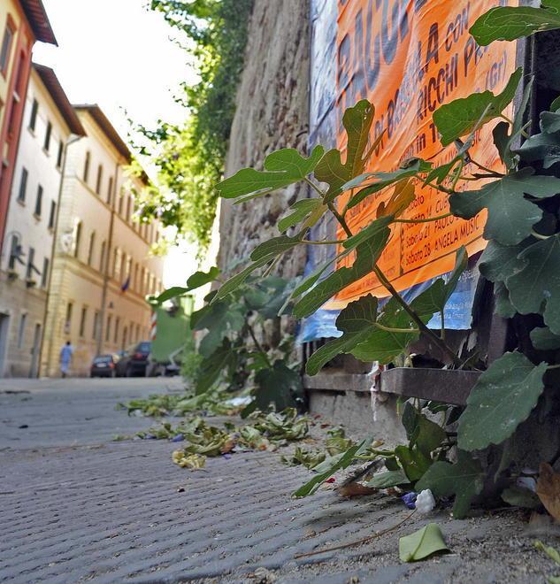 Pulizia straordinaria del centro Da oggi strade tirate a lucido