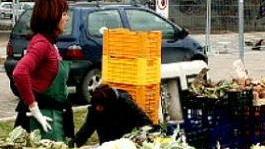Sarà ripetuto il mercato contadino