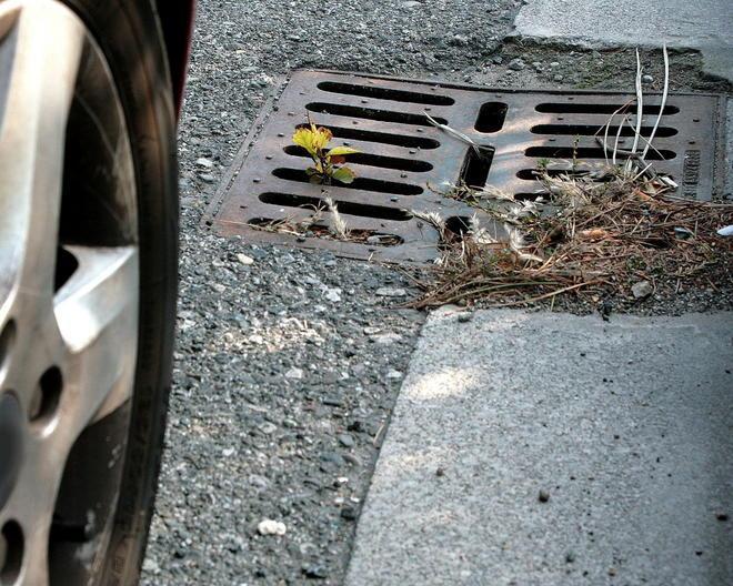 Arriva la pioggia, il Comune invita a ripulire le caditoie e i tombini 