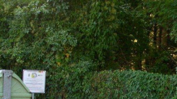 Ingombranti, ancora proteste «Il problema è ovunque»
