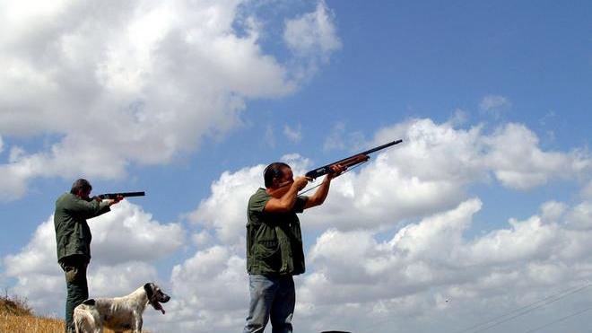 Gli agricoltori: «Si snobbano i danni provocati dagli storni»