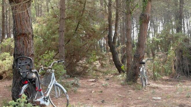 Tentato omicidio, ora c’è una pista