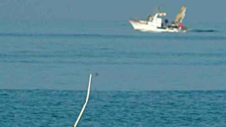 Pesca sotto misura nello Scolmatore Raffica di sanzioni