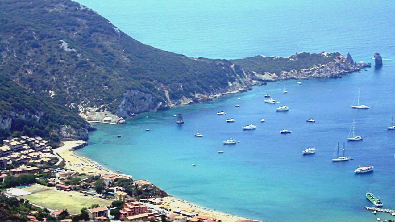 Squalo sì, squalo no. Il sindaco del Giglio: «Verifiche per evitare il panico». Nel mirino i bagnini che hanno dato l'allarme