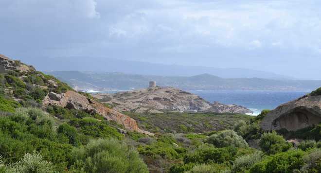 Bosa, sulla costa dei grifoni 100mila metri cubi 