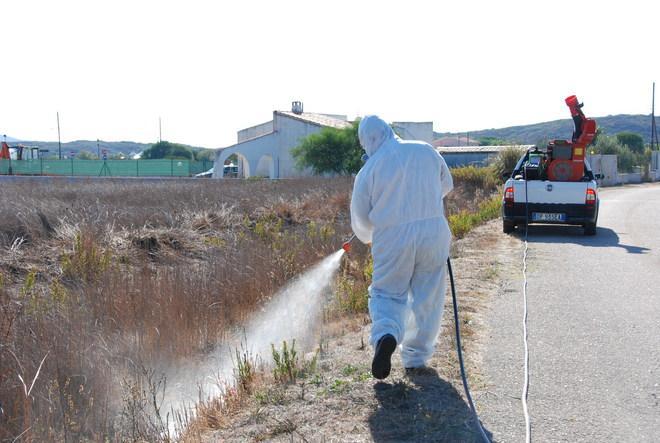 Febbre del Nilo, il virus si è diffuso in tutta la Sardegna