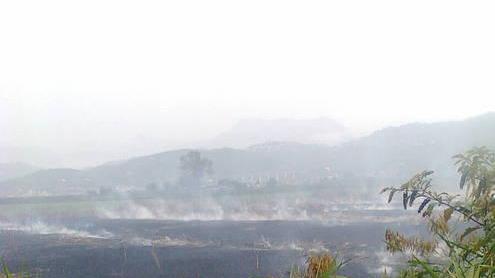 Brucia la torba, una nuvola acre copre Viareggio