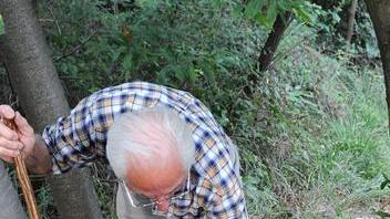 Funghi, i sindaci chiederanno di cambiare la legge