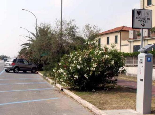 Il Comune di Massa incassa 200mila euro dai parcheggi a pagamento 