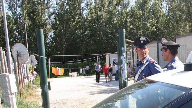 Piante di marijuana alte due metri ritrovate in un campo nomadi