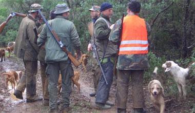 Scatta la caccia al cinghiale, pronte 2.600 doppiette 