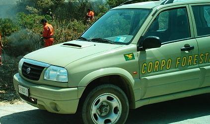 Controlli della Forestale: 174 le persone sanzionate