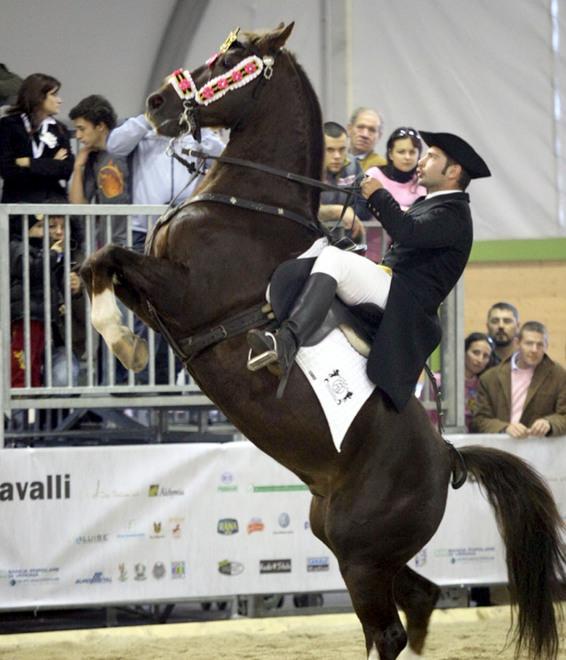 Uno spettacolo per Cavallo Natura 