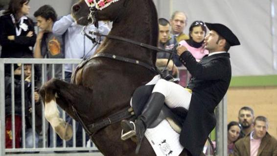 Uno spettacolo per Cavallo Natura