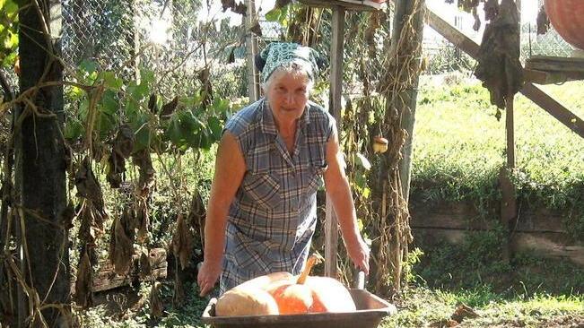 Uva e zucche da record a Battilana