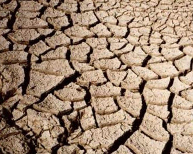 Siccità, 19 milioni di euro di danni all’agricoltura 