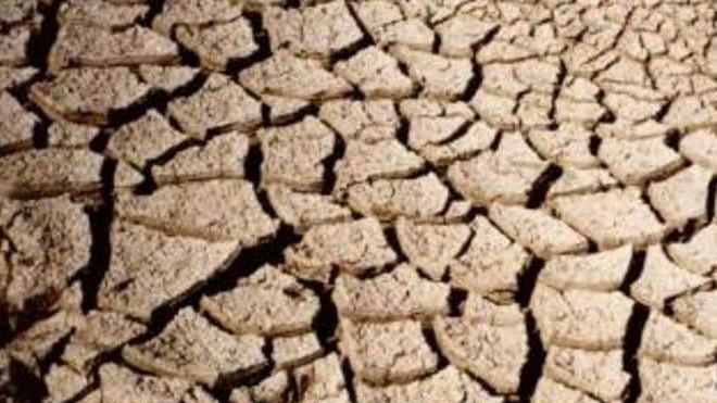 Siccità, 19 milioni di euro di danni all’agricoltura