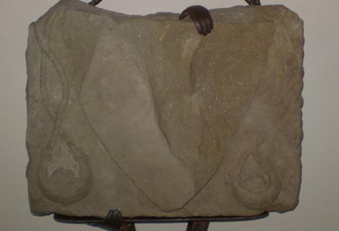 Al Mulinaccio scoperto in cantina un bassorilievo