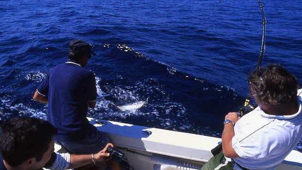 Gara di pesca a traina con Sampei