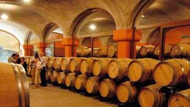 Pagelle dei vini pisani con più ombre che luci