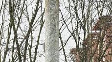 Le ultime ore di vita di Succi, Malagutti e Parmeggiani