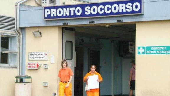 Colpito dal calcio di un mulo finisce ricoverato in ospedale