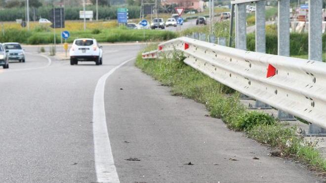 Carcassa sul ponte ma nessuno la rimuove