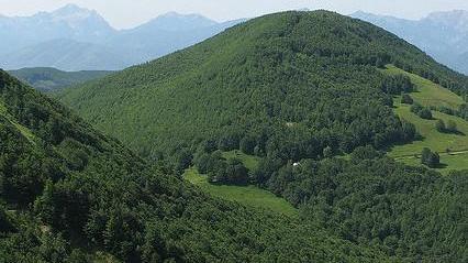 Salvati dal Soccorso Alpino cinque cercatori di funghi