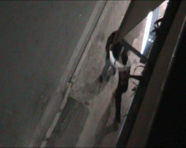 Degrado, violenza e droga in piazza Dante: esposto dei residenti 