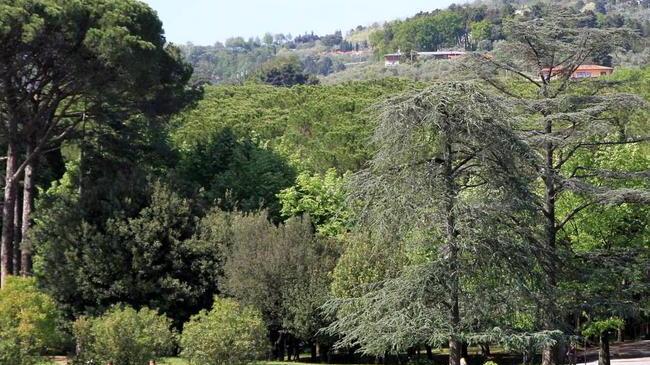 Il prezzo della Pineta è di quasi 3 milioni: