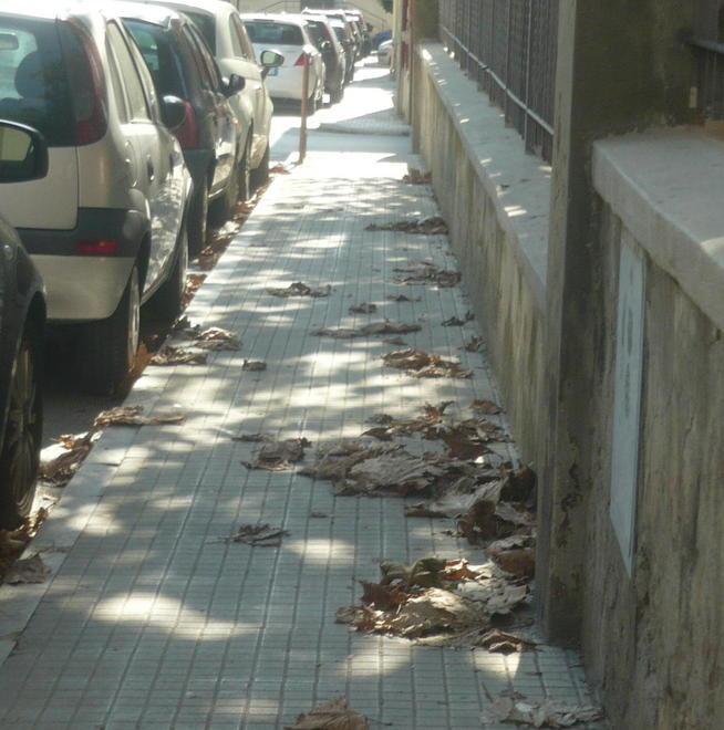 Sporcizia e cacche di cane Il centro invaso dai rifiuti 