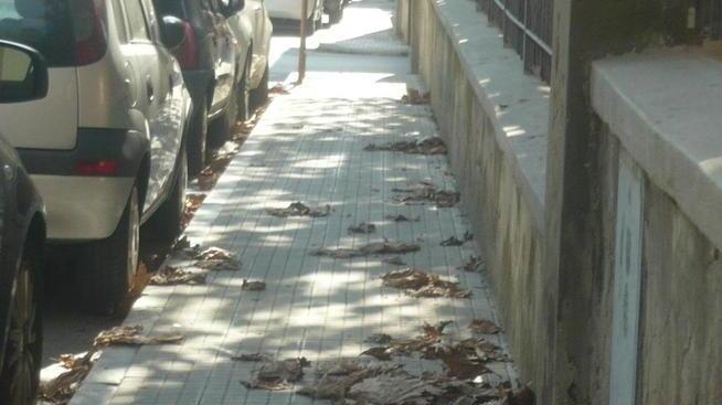 Sporcizia e cacche di cane Il centro invaso dai rifiuti