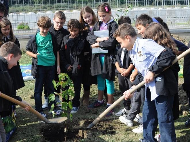 Alberi per aiutare gli alluvionati di Aulla 