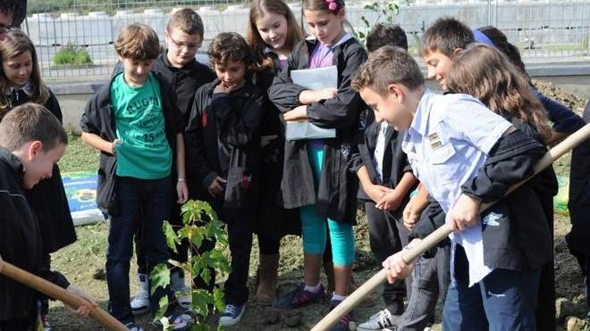 Alberi per aiutare gli alluvionati di Aulla
