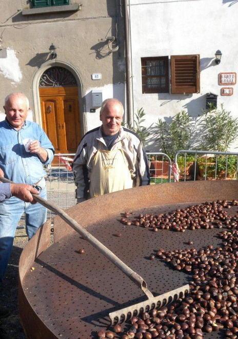 Siccità e un parassita, annata pessima per le castagne 