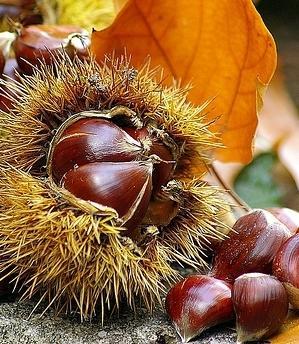 Festa di Halloween, crescono le adesioni 