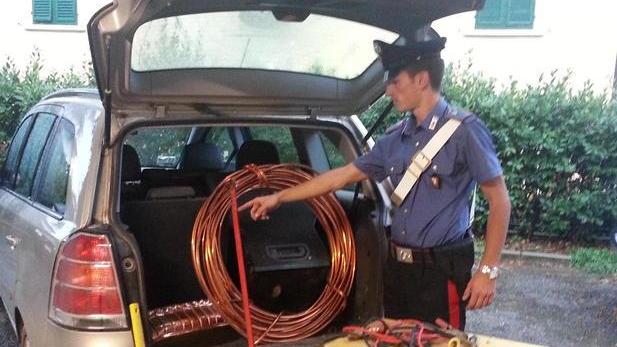 Scoperto bazar del furto dalle tv ai bidoni di miele