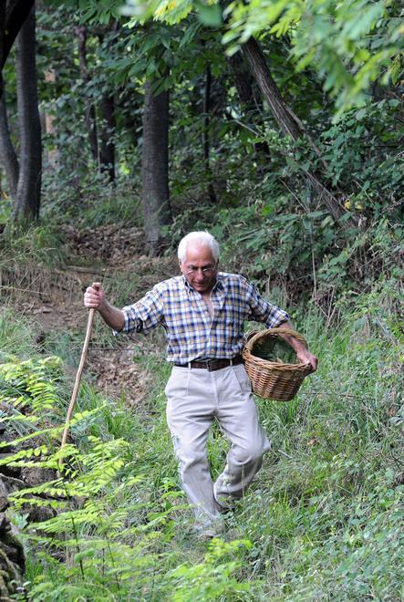 Cade e si ferisce mentre è a fare funghi 