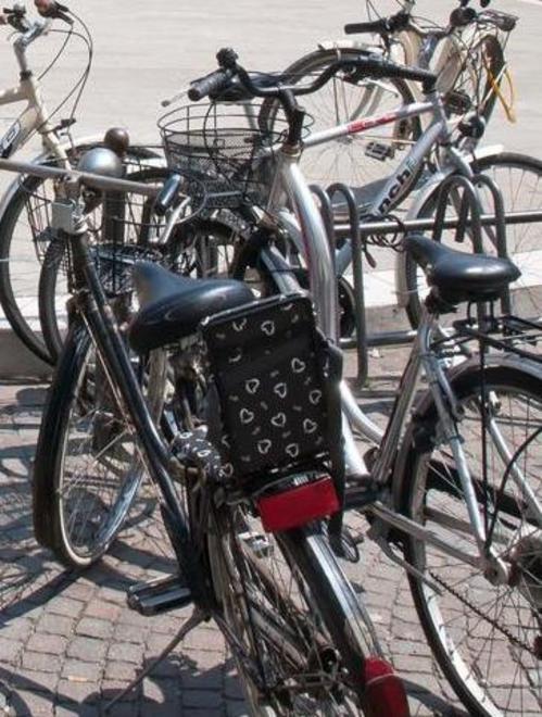 Preso il ladro seriale di biciclette 