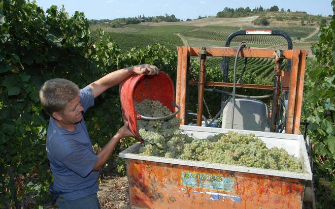 Aumento di ottanta euro per tremila lavoratori 