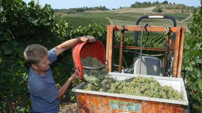 Aumento di ottanta euro per tremila lavoratori