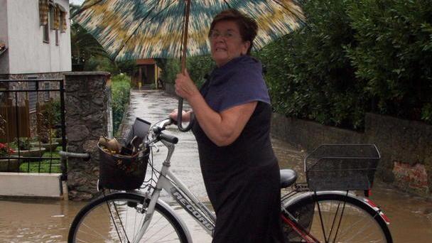Piove: aziende e negozi invasi dall’acqua