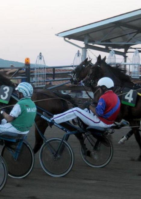 Ai Pini una giornata da non perdere Qualificazione al Premio delle aste