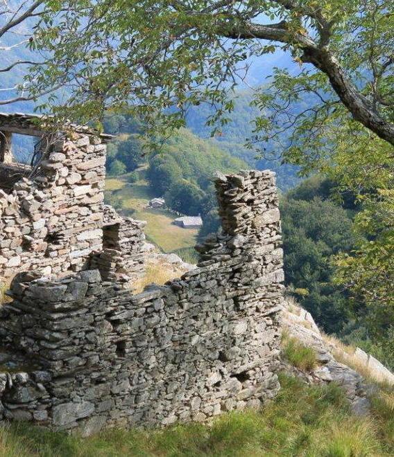 Cartelle Ici illegittime Condannato il Comune 