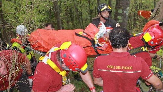 Pensionato punto da un calabrone va in shock anafilattico