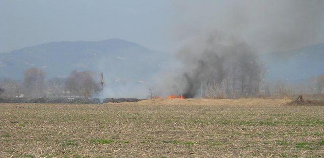 Incendi, la Provincia si difende dagli attacchi 
