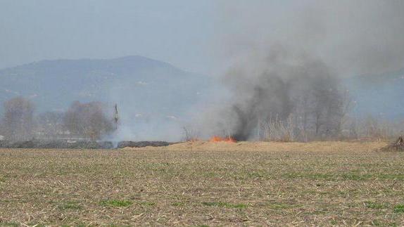 Incendi, la Provincia si difende dagli attacchi